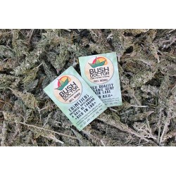 Comprar bálsamo crema CBD cannabidiol para masajes, dolor, inflamación en Central de Semillas