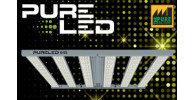  Pure Led