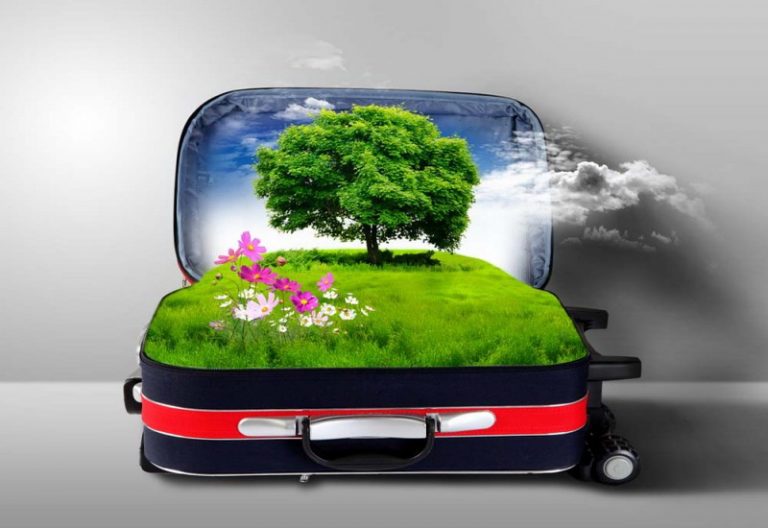چگونه یک مسافر سبز باشیم