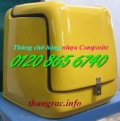 Sản xuất thùng chở hàng sau xe máy, thùng giao hàng tiếp thị, thùng giao hàng