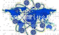 离子交换原理(什么是离子交换)